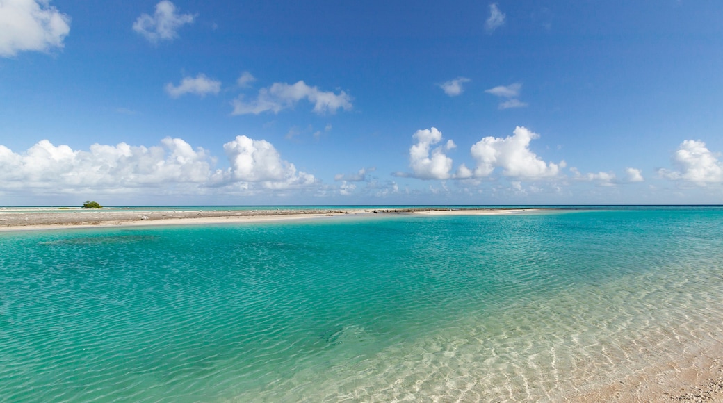 reef ring,lagoon and motu on Tahanea atoll, Tuamotus archipelago, French Polynesia, south pacific