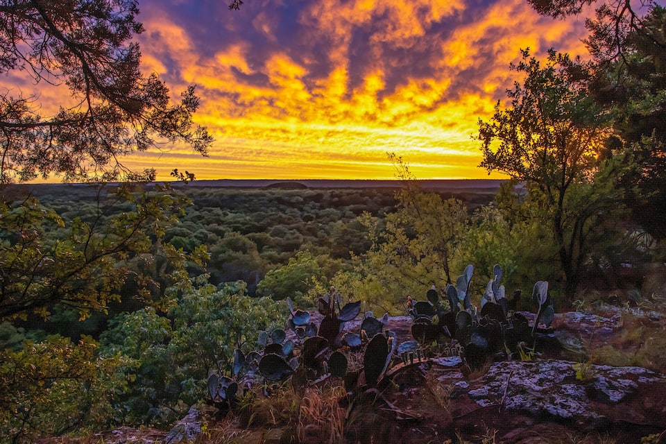 Een zonsondergang boven een bergachtig landschap met cactussen en bomen.