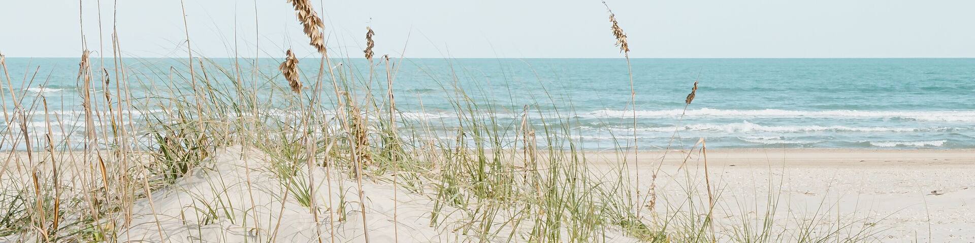 A sandy beach with grass and the ocean in the background.