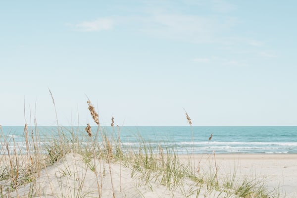 grass growing on a small sand dune at a white sand beach with the calm ocean in the background in bright and airy colors