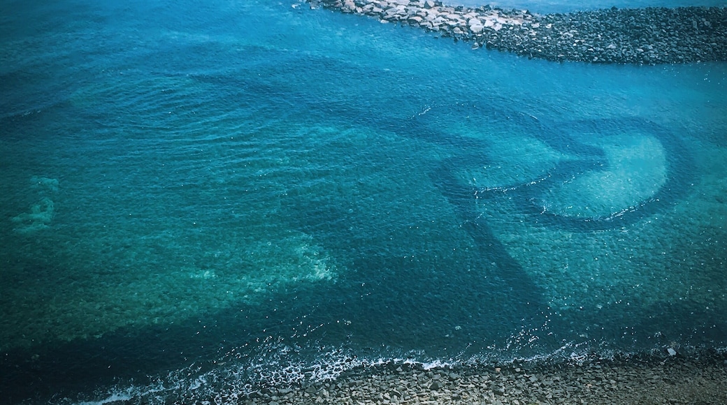 石滬為澎湖的一種人與大海相互依存的捕魚方法,因有兩座心狀石滬而得雙心石滬美名。原理為利用潮汐起落,在潮間帶堆砌兩道長圓弧形堤岸,從淺水處一路延長至深水處,在深水處盡頭向內做成彎鉤狀。漲潮時,魚群順著海水進入石滬中覓食海藻;退潮後,石堤已高於海面,魚迴游至捲曲處被阻,困於滬內,漁民藉此捕捉漁獲。