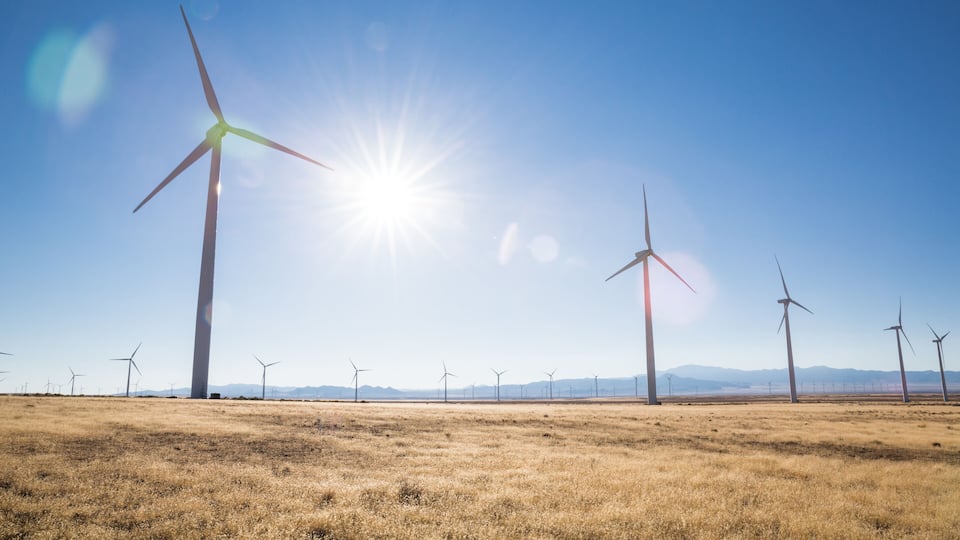 A wind farm with multiple wind turbines in a dry grass field under a clear sky.