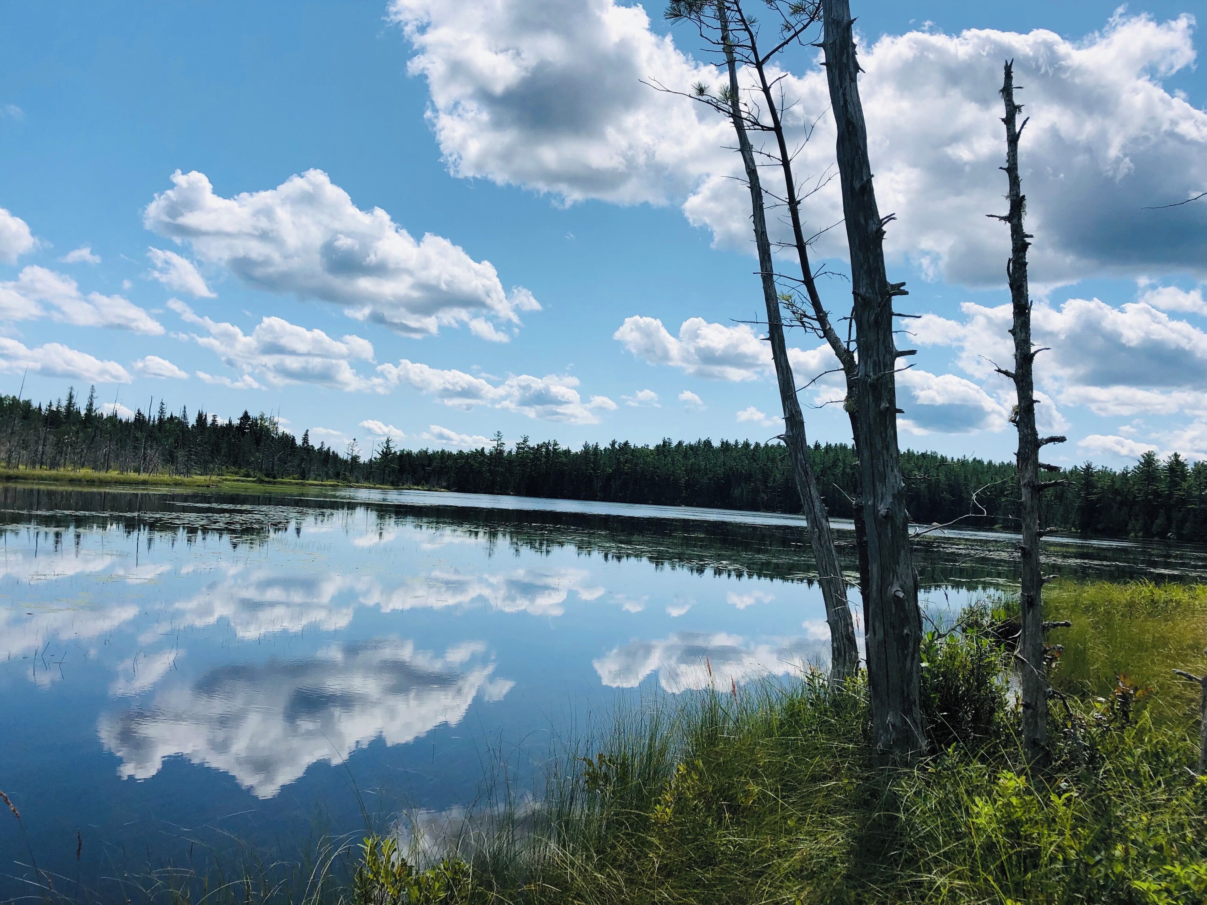 An easy, peaceful hike around Grassy Pond on a perfect day. #adventure