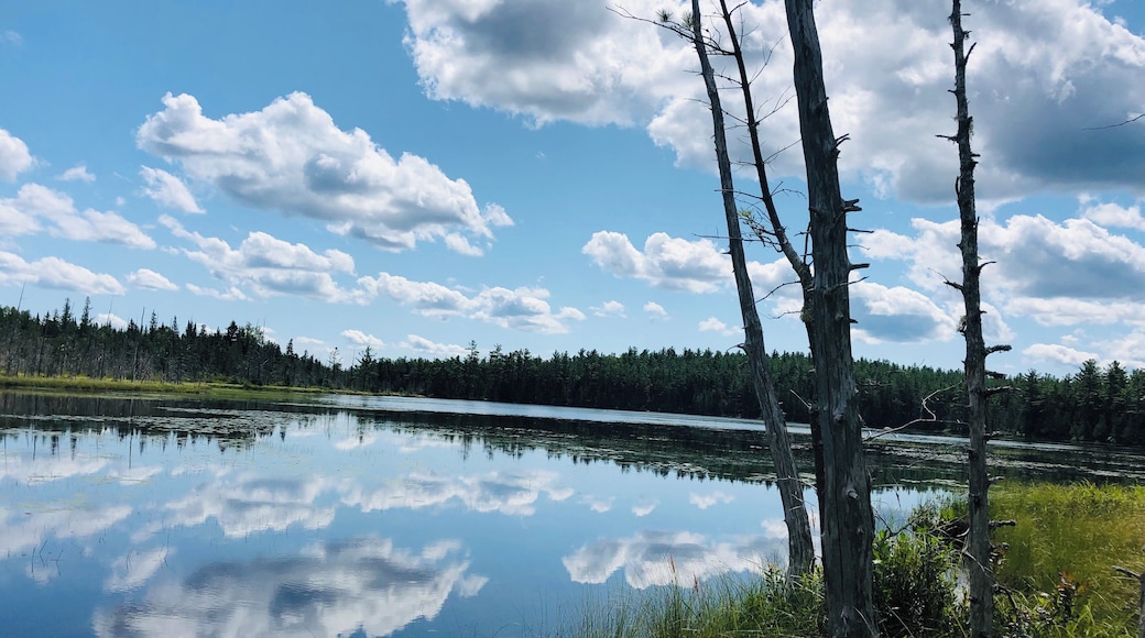 An easy, peaceful hike around Grassy Pond on a perfect day. #adventure