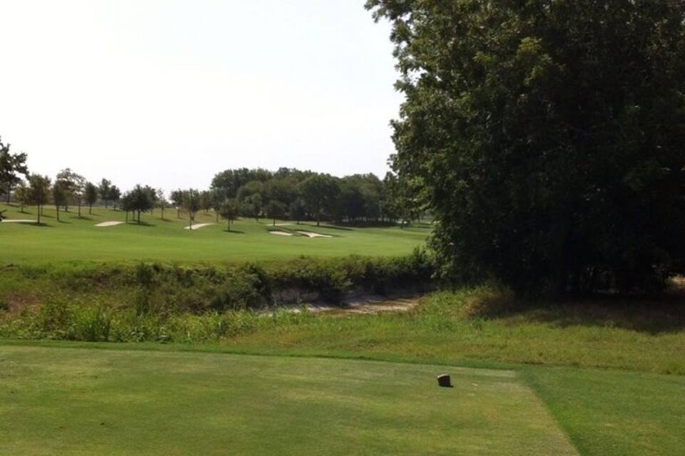 A golf course with a large tree, sand bunkers, and a clear sky.