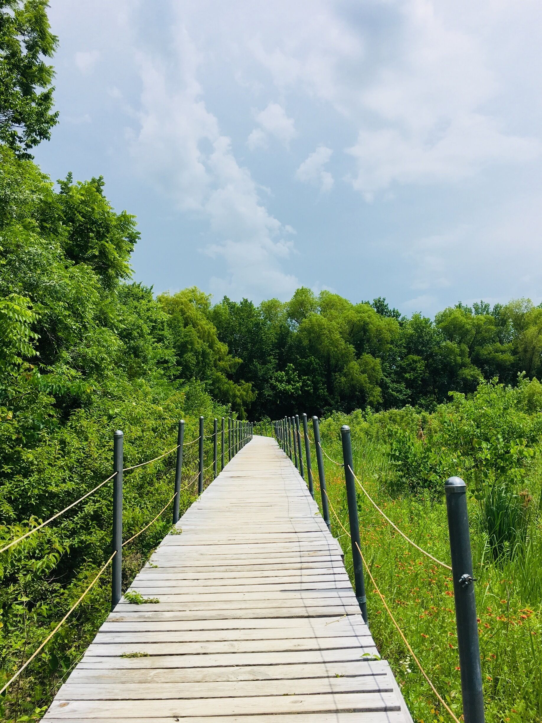 Beautiful trails and neat science museum 