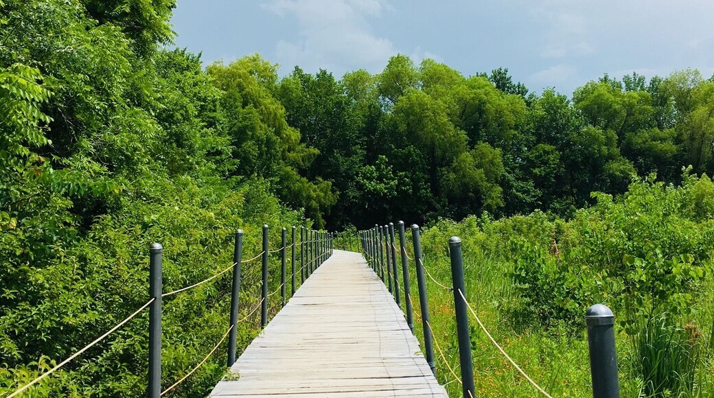 Beautiful trails and neat science museum