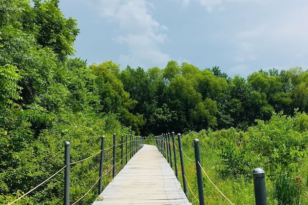 Beautiful trails and neat science museum