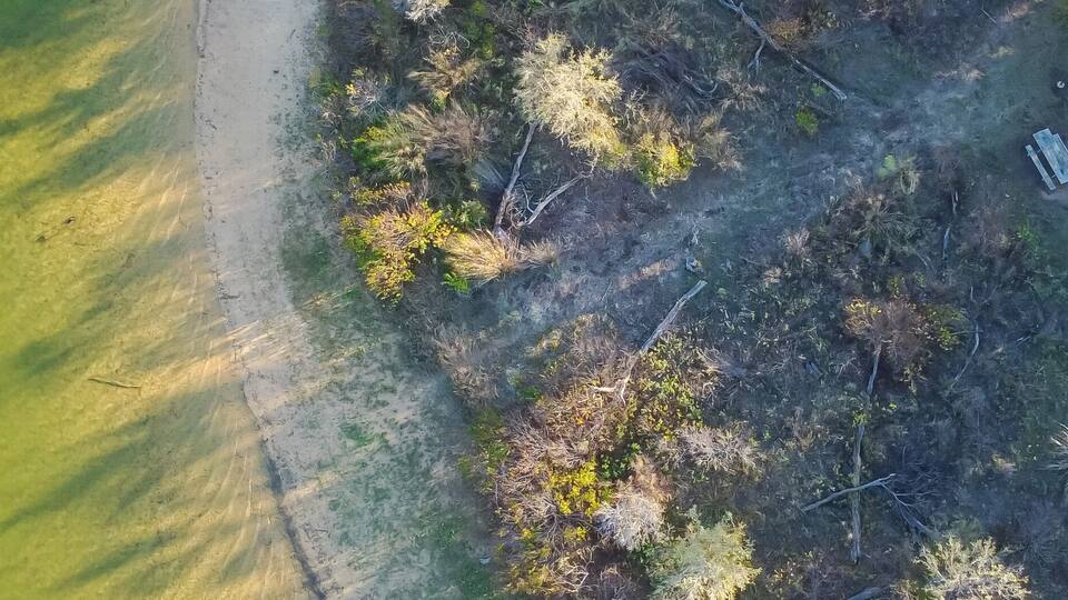 An aerial view of a coastal area with a sandy beach, dense vegetation, and three tents.