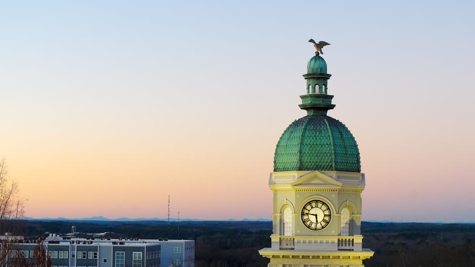 A clock tower with a green dome and a bird perched on top, set against a sunset sky.