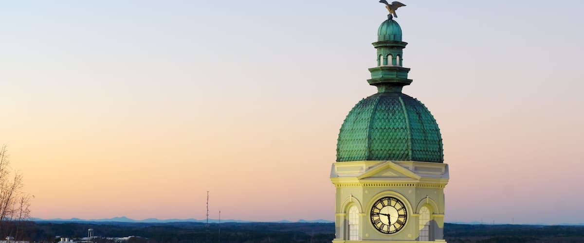 A clock tower with a green dome and a bird perched on top, set against a sunset sky.
