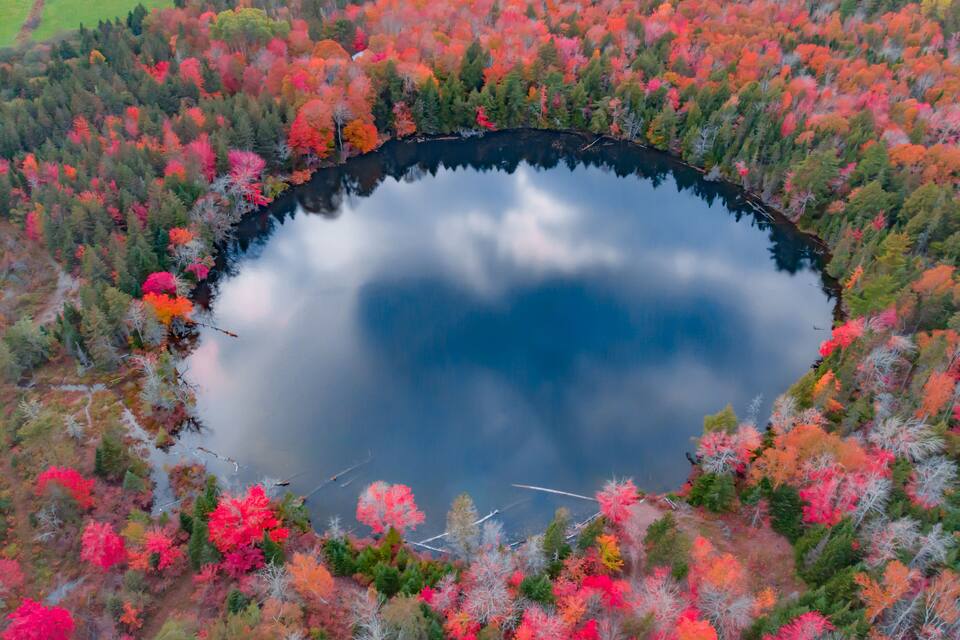 Un lac entouré d’arbres aux couleurs automnales.
