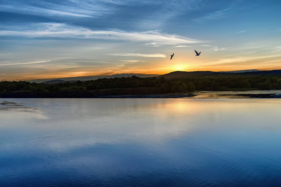 Un lago tranquillo al tramonto, con uccelli in volo e un paesaggio boschivo sullo sfondo.