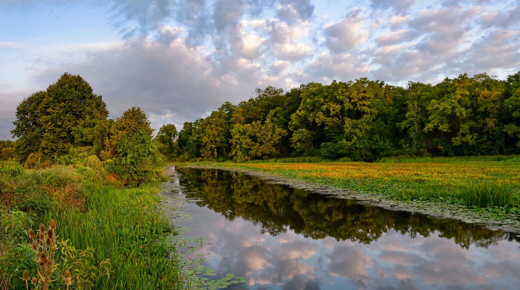 Illinois River State Fish and Wildlife Area