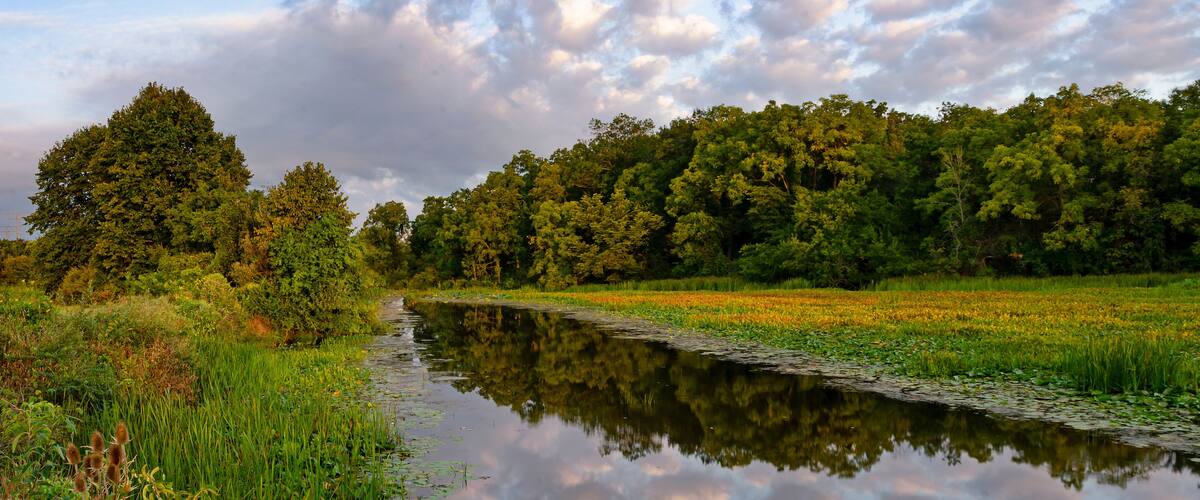 650-28 Backwater Morning, DesPlaines River