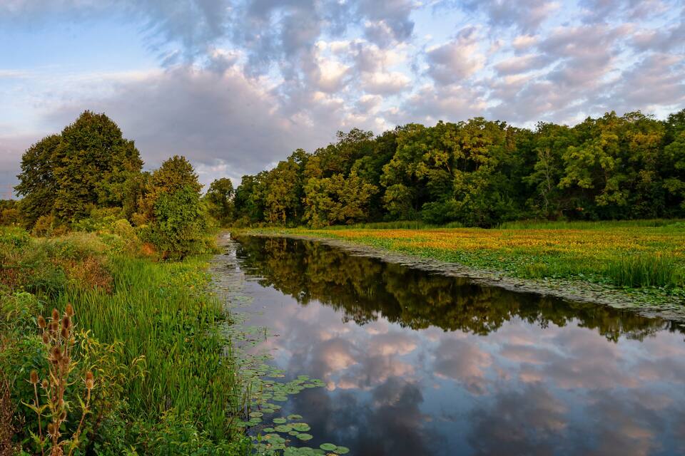 A calm river reflecting trees and sky, surrounded by lush greenery.