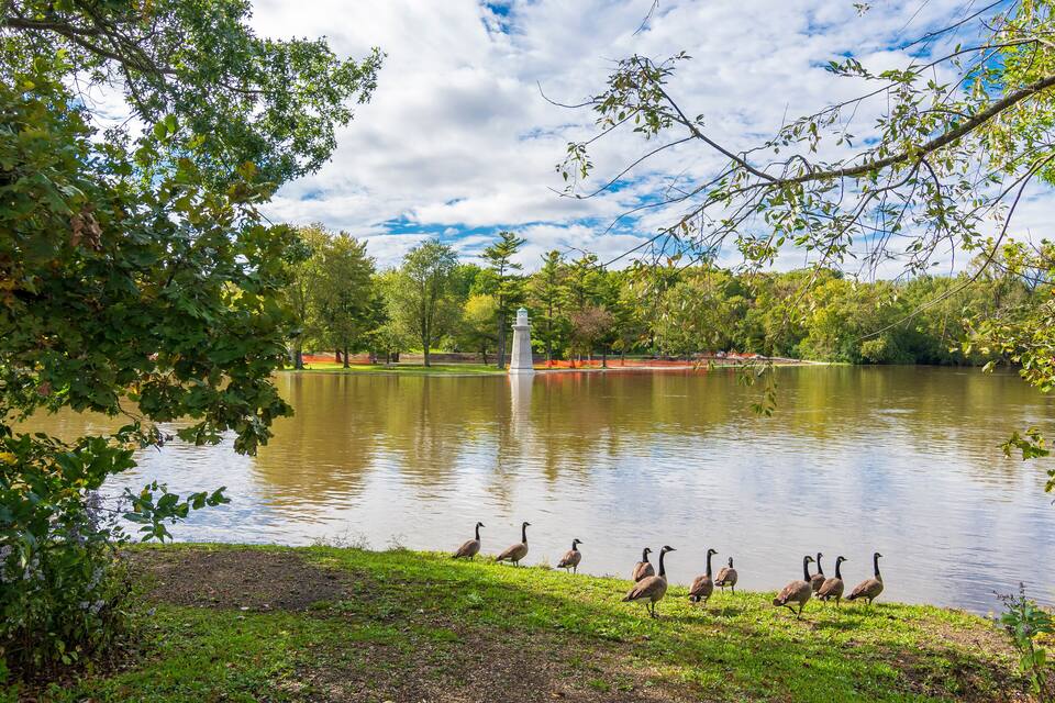Ein See mit Enten, Bäumen und einer Fontäne.