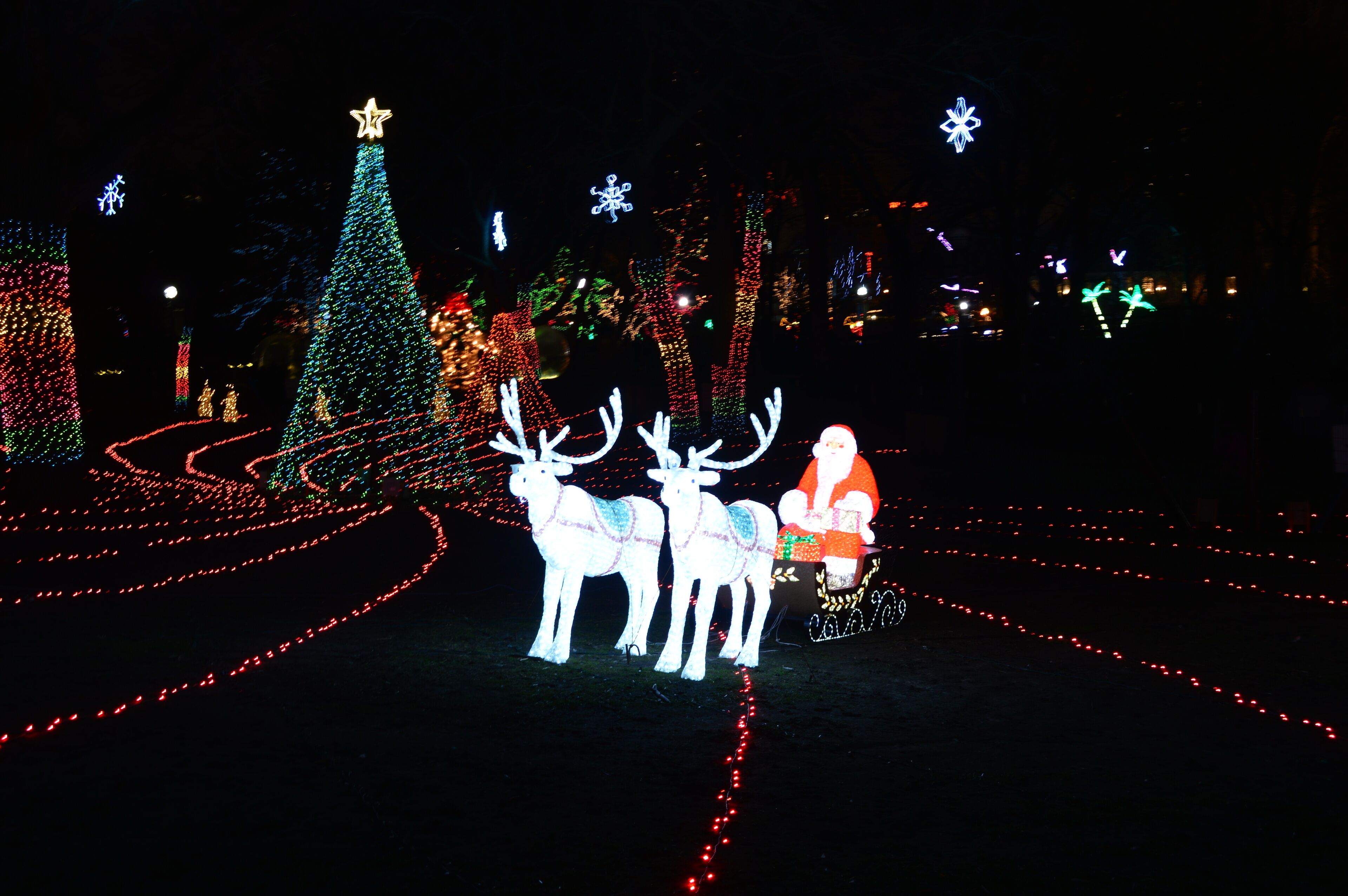 Chicago, USA. 31st December 2016. To walk through the luminous d