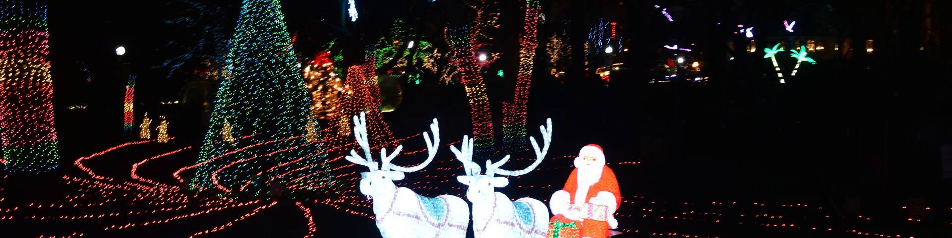 Chicago, USA. 31st December 2016. To walk through the luminous d