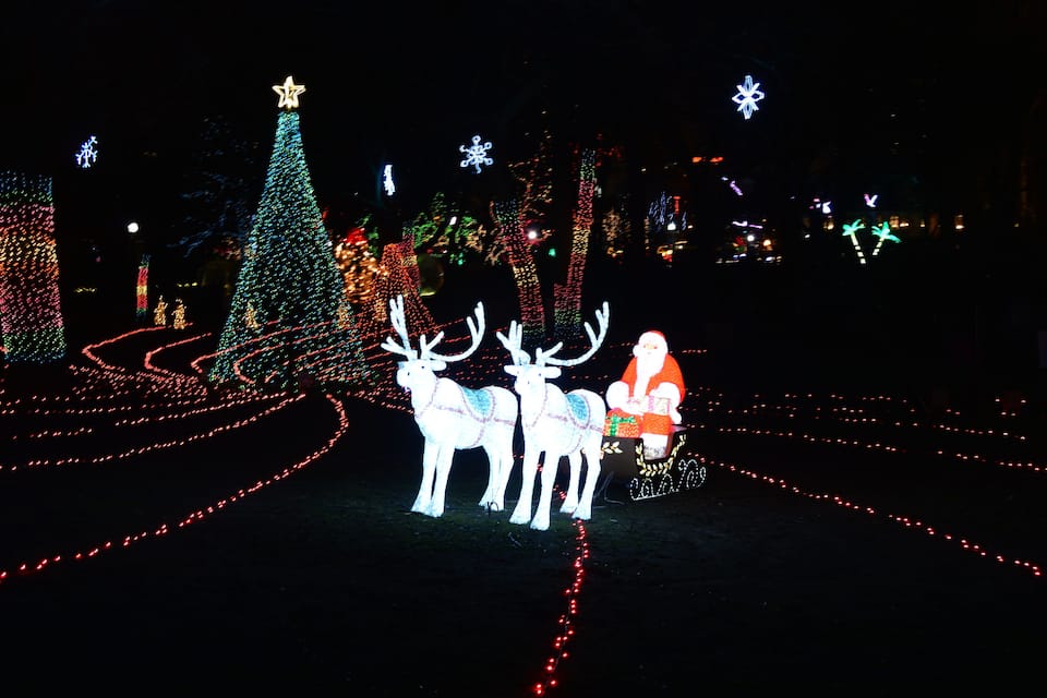 A Christmas display with illuminated trees, reindeer, and Santa Claus.