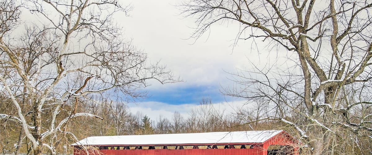 Snowy Covered Bridge and Sycamores