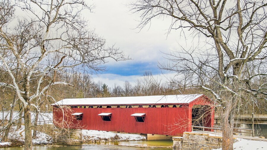 Snowy Covered Bridge and Sycamores