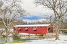 Snowy Covered Bridge and Sycamores