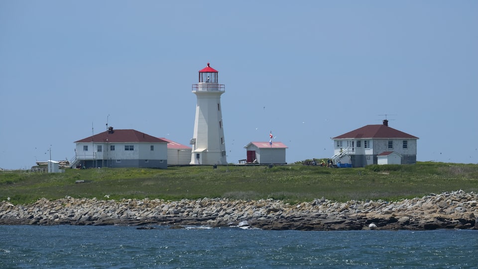 A lighthouse with a red roof, a white building with a red roof, and a white building with a red roof.