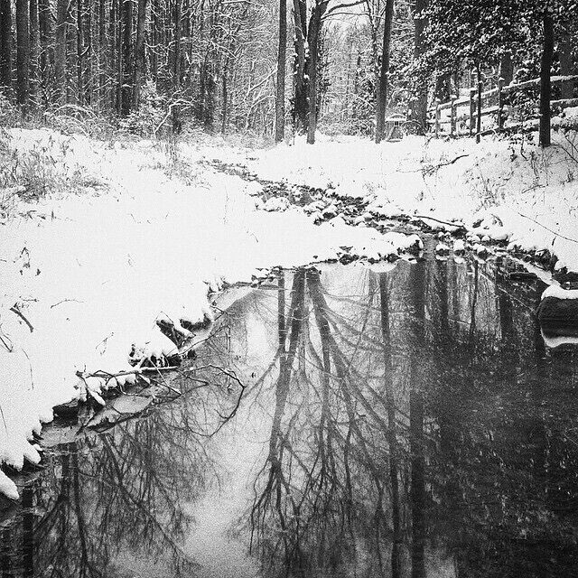 Finally some #snow action in #VA
@ig_virginia #reflection #virginia #woods #forest #ignova #water #stream #puddlegram #GoToVA #nova #mclean #exploreva #VAoutdoors #bw_lover #vaisforlovers #loveva #branches #bns_landscape #igersva #forest #seevirginia #snowcovered #winterscene #lovenova #757collective #venturingvirginia #outforawalk