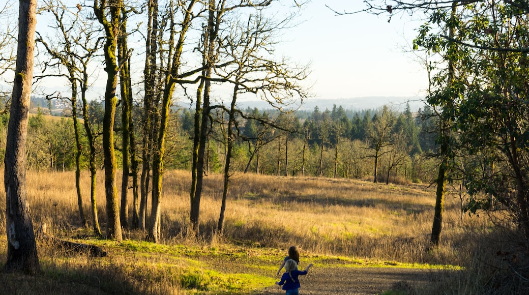 Cooper Mountain Nature Park, Beaverton, Oregon