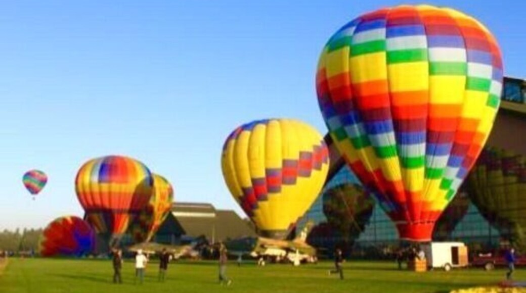 Loose Goose is a yearly event at Evergreen Space Museum. Starting point is in front of the museum then head all over the Willamette Valley enjoying incredible views of the volcanoes of the cascade range.
Hot air balloon rides are available to the public.
#colorful