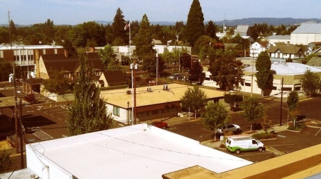 The view of McMinnville. Doesn't look like much but it's actually a cute little Oregon town.