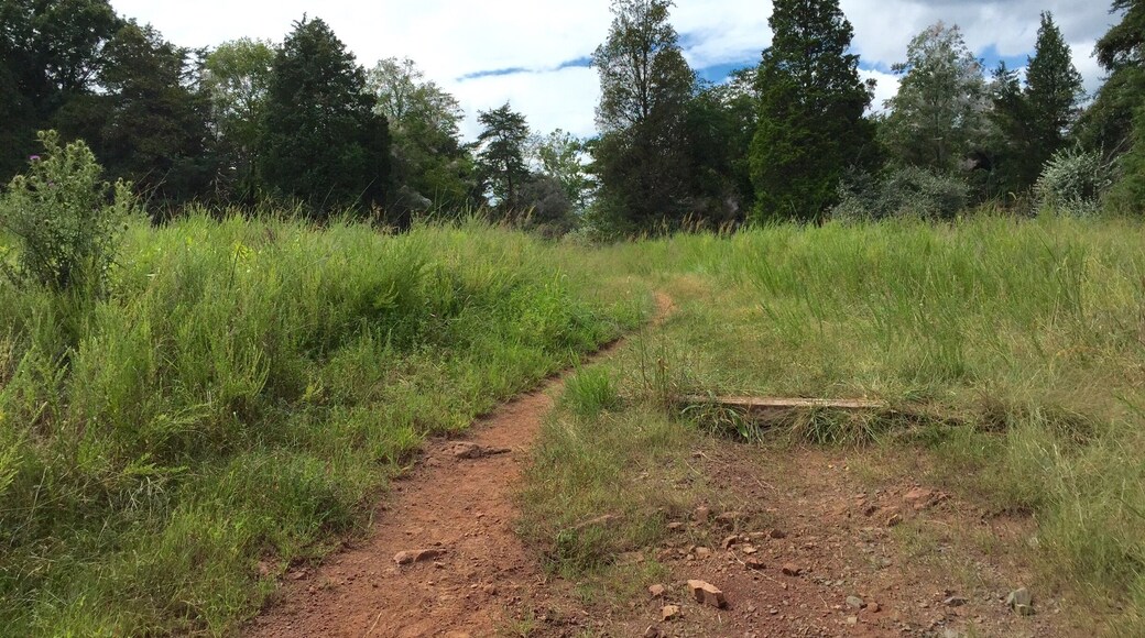 Hiking in Manassas Battlefield Park 8-10-15..