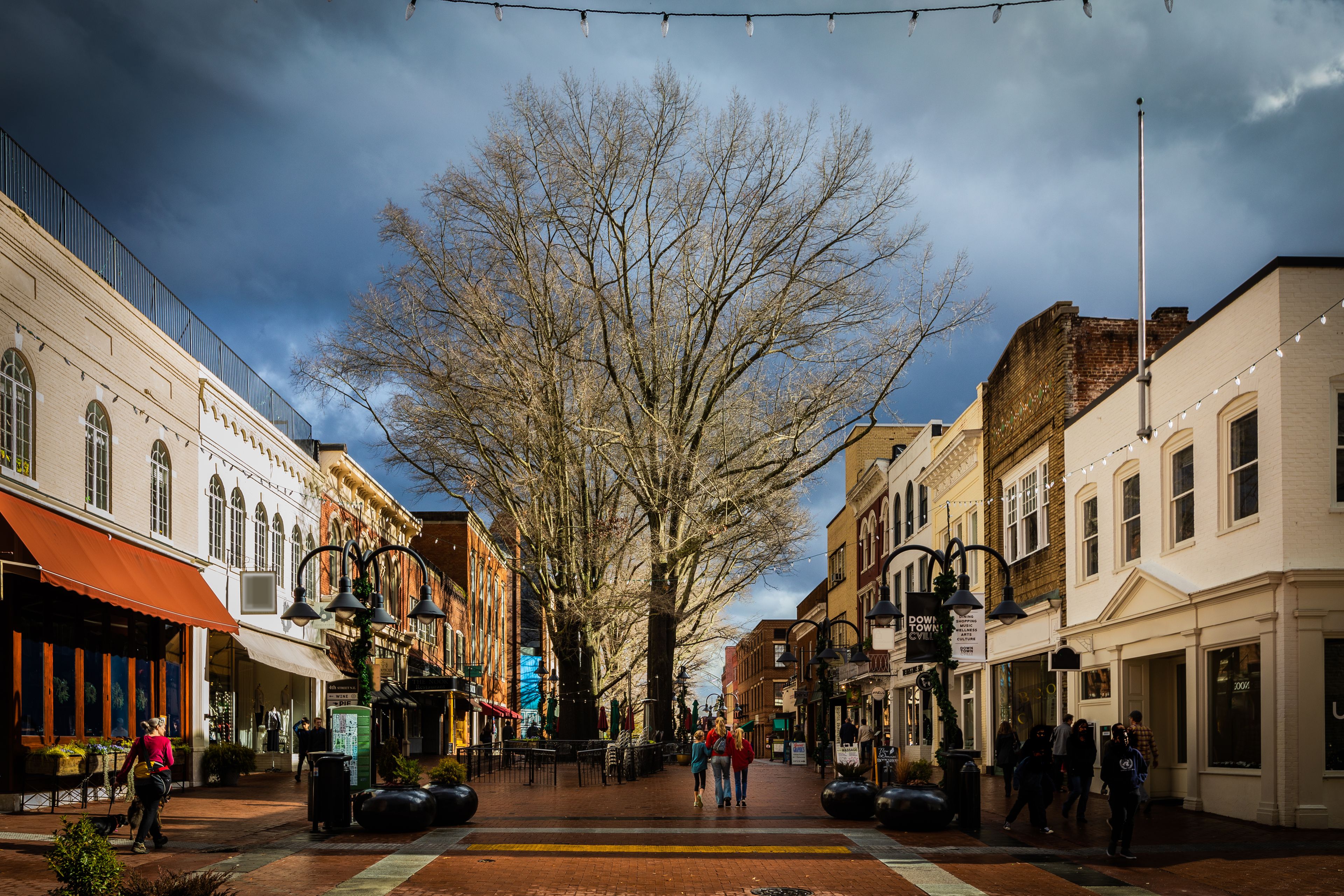 A tree-lined street with historic buildings, outdoor seating, and pedestrians.