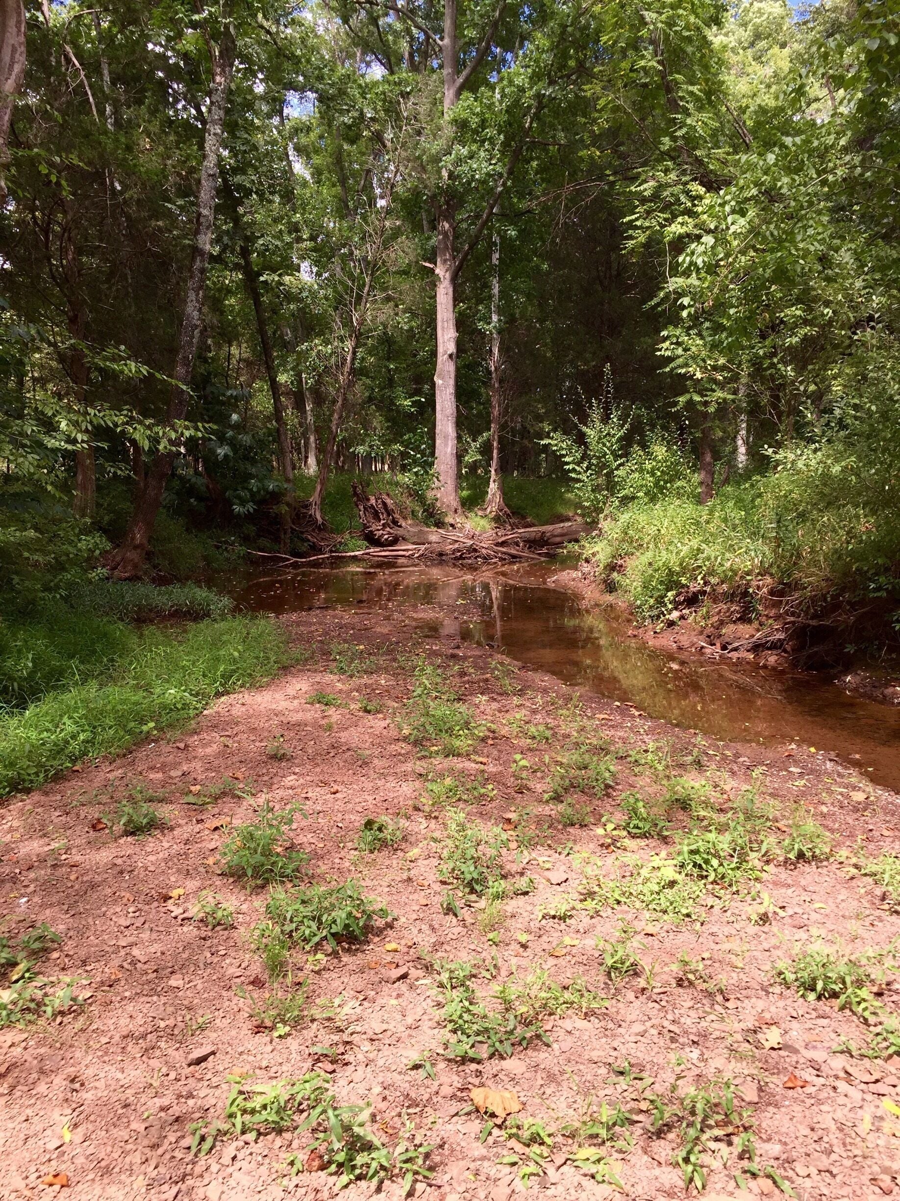 Hiking in Manassas Battlefield Park 8-10-15..