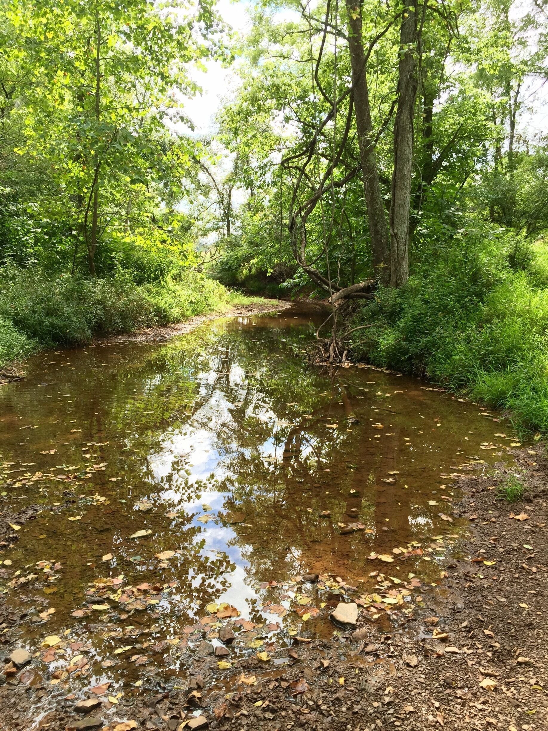 Hiking in Manassas Battlefield Park 8-10-15..