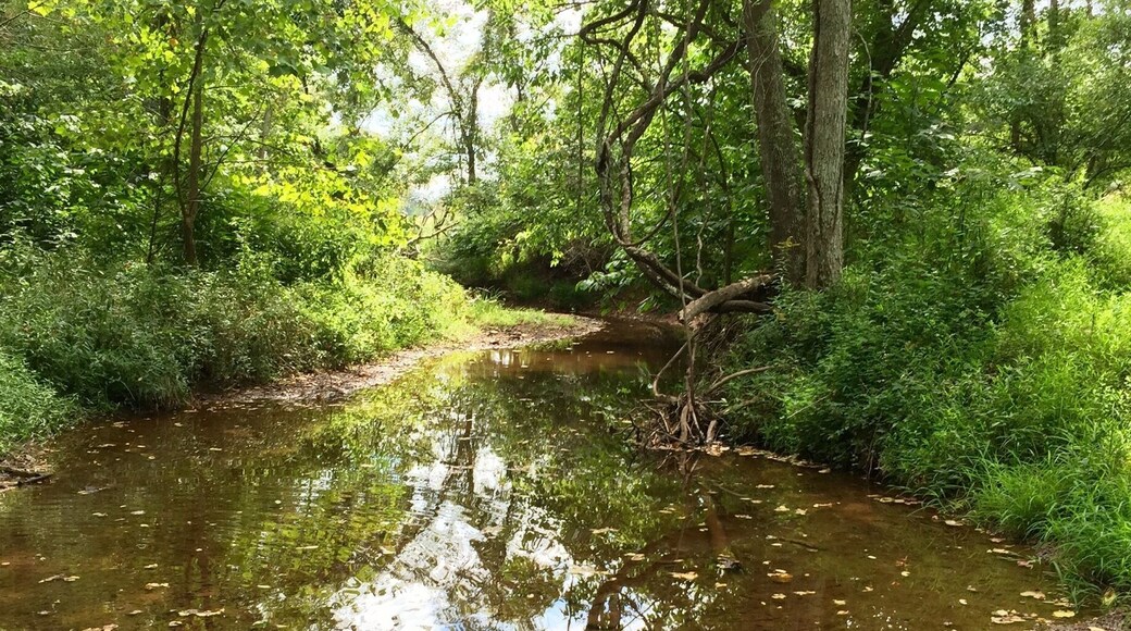 Hiking in Manassas Battlefield Park 8-10-15..