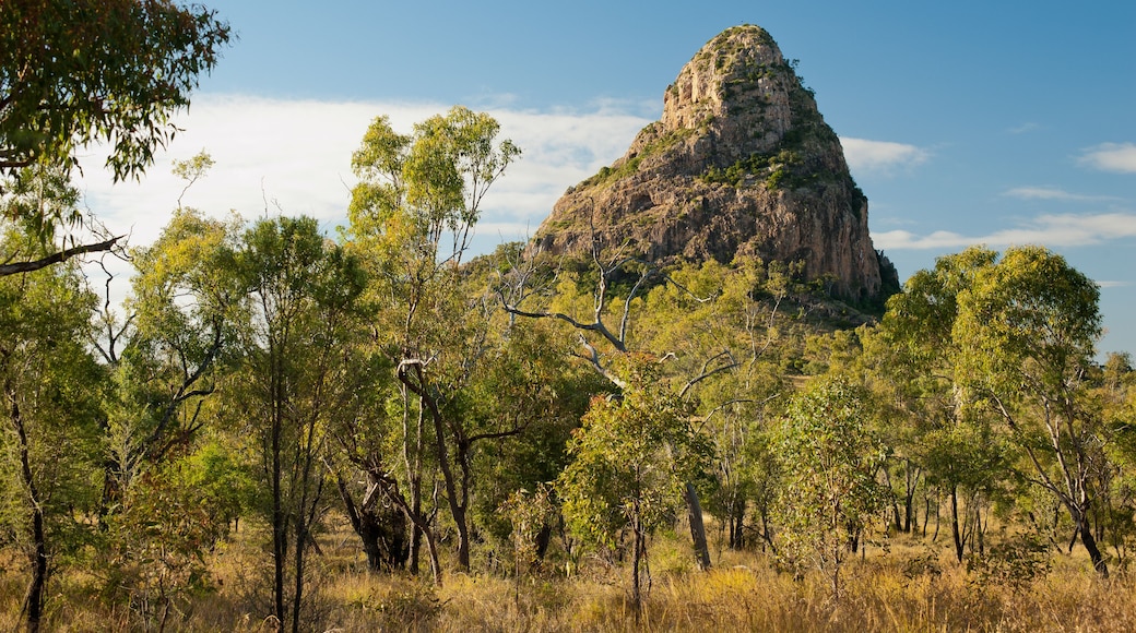 Wolfalg Peak, Clermont