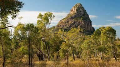 Wolfalg Peak, Clermont
