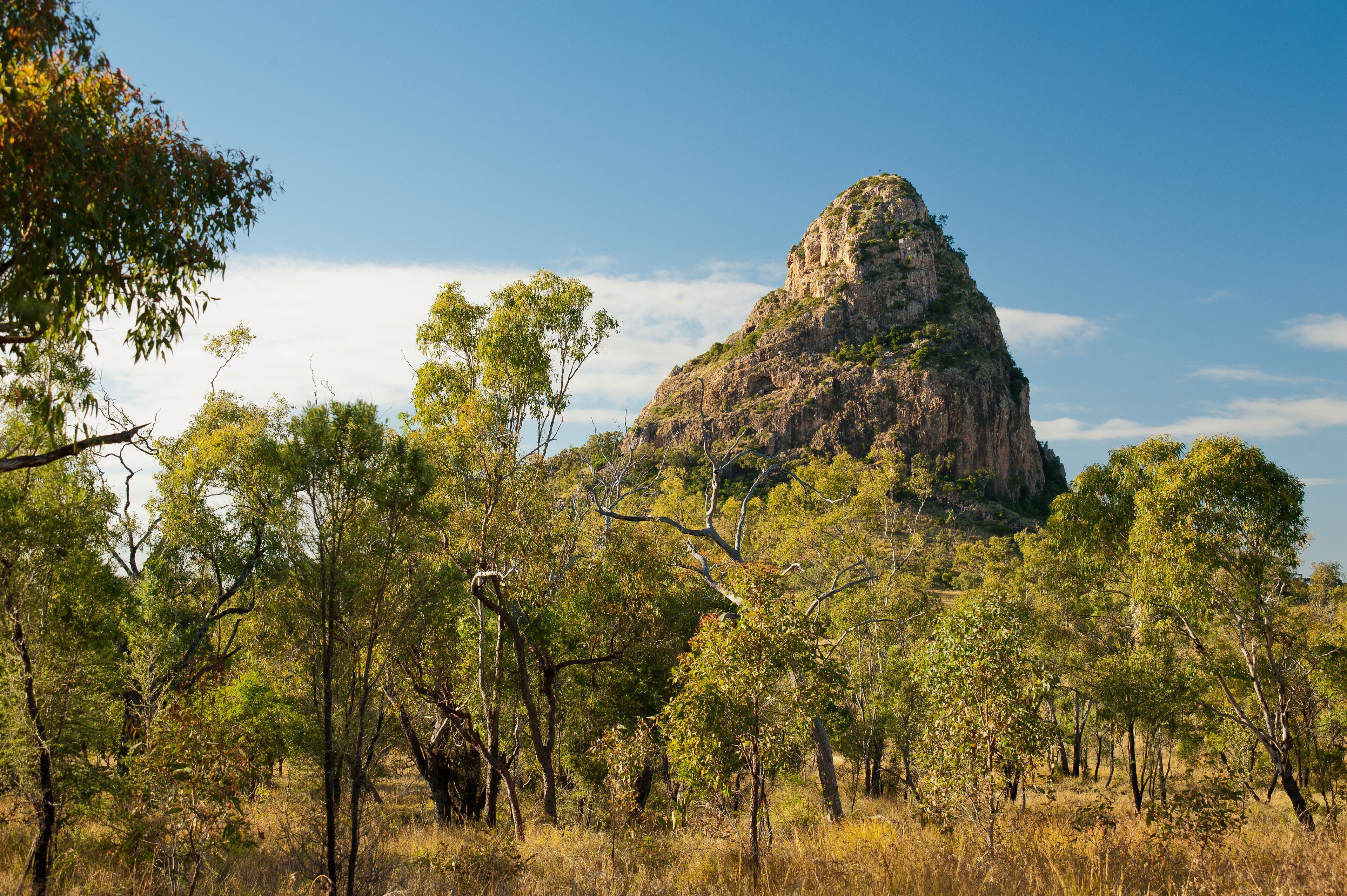 A rocky mountain surrounded by trees.