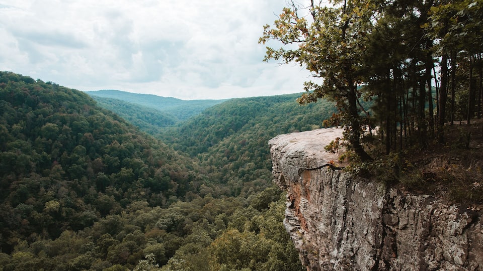A forested valley with a rocky cliff edge.