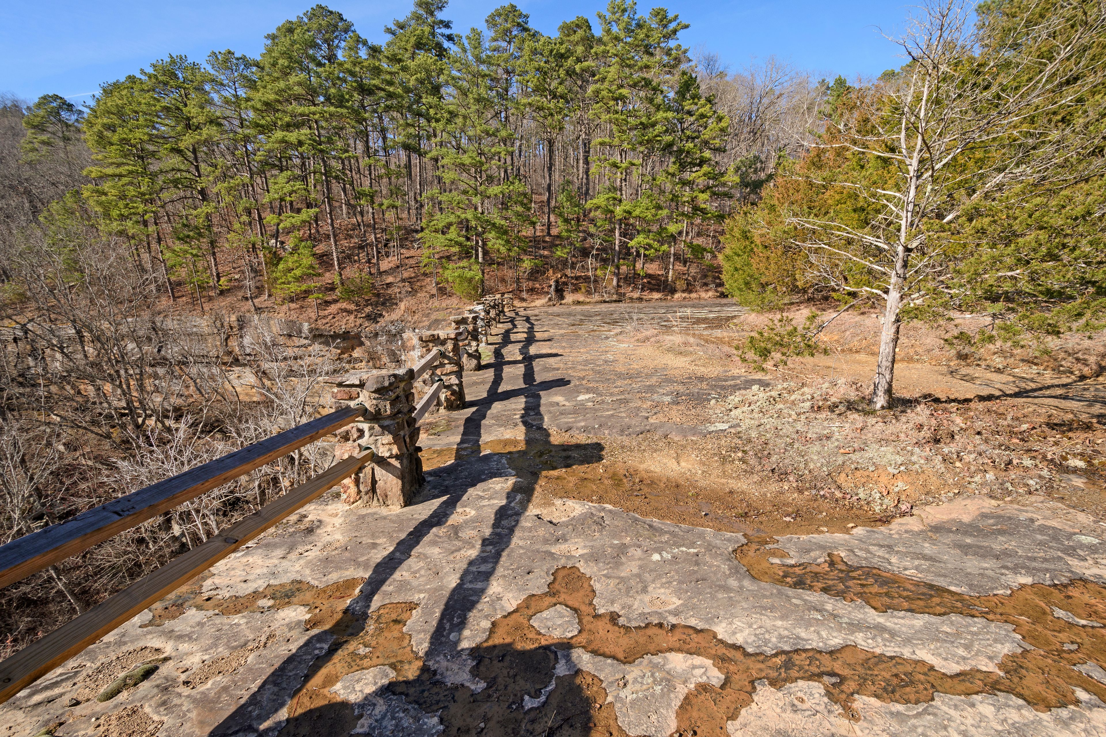 A wooden bridge with stone railings over a rocky terrain, surrounded by a forest of pine trees.