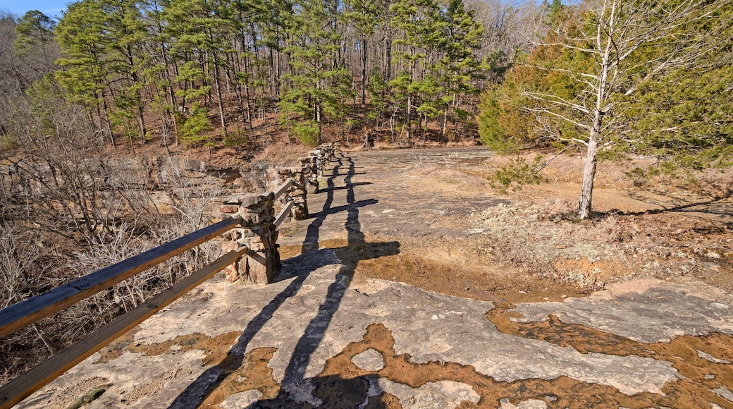 A wooden bridge with stone railings over a rocky terrain, surrounded by a forest of pine trees.