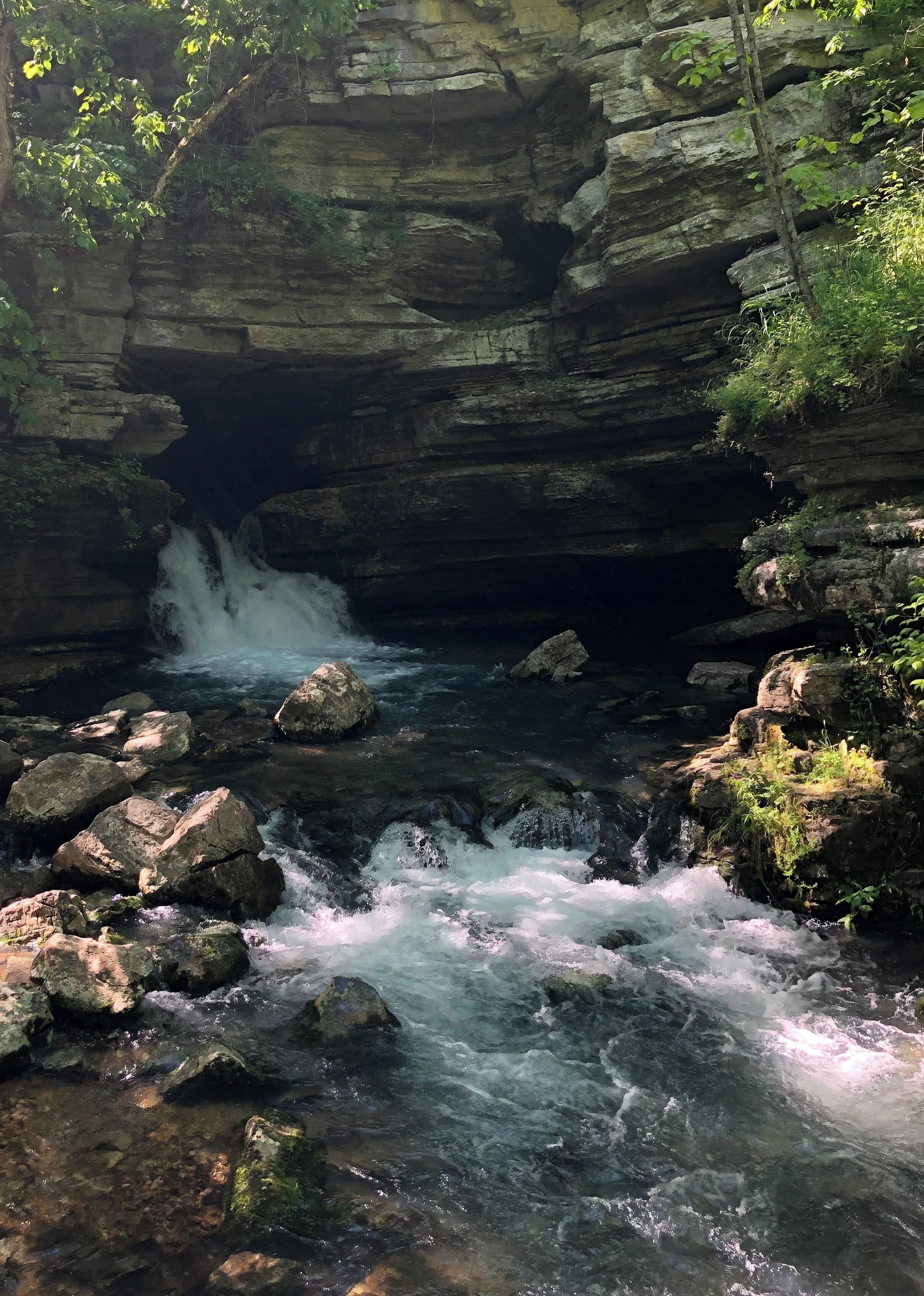 Blanchard Springs in Fifty Six, Arkansas #arkansas #naturalstate
