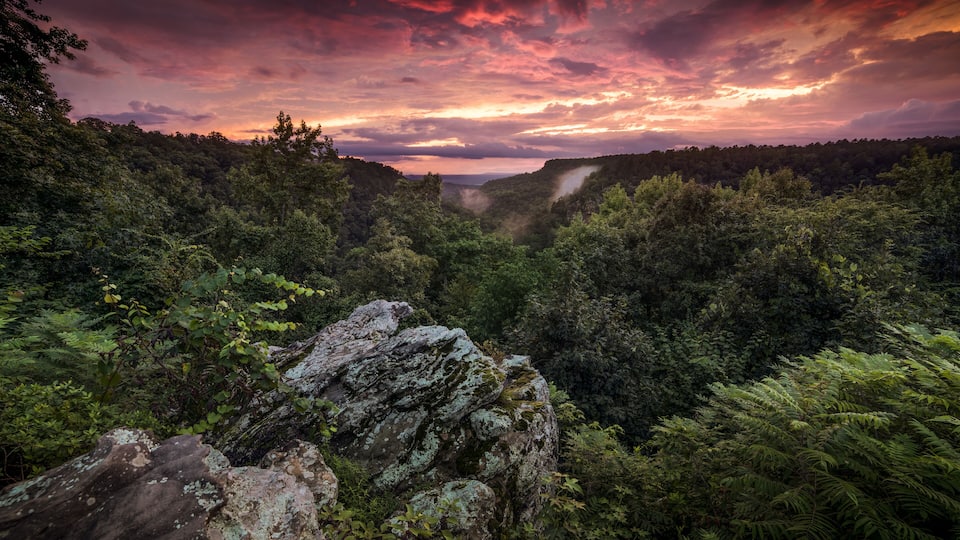 A lush valley with dense forest, a prominent rock formation, and a dramatic sunset sky.