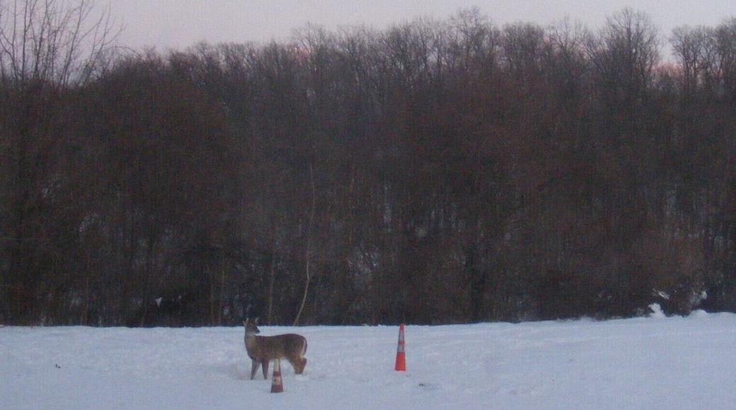 looking out the window and seeing this beauty, #WinterWonders