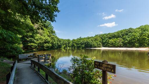 Landscape of the Swimming and Fishing Area in Colonel Denning State Park in Tuscarora State Forest in Pennsylvania