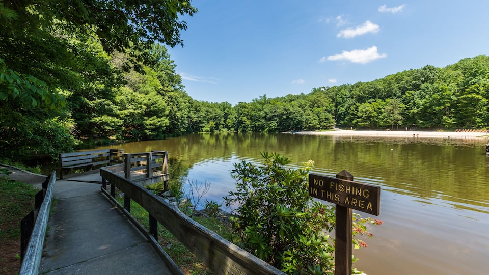 A wooden boardwalk leading to a lake surrounded by dense green trees. A sign indicates no fishing is allowed in this area.