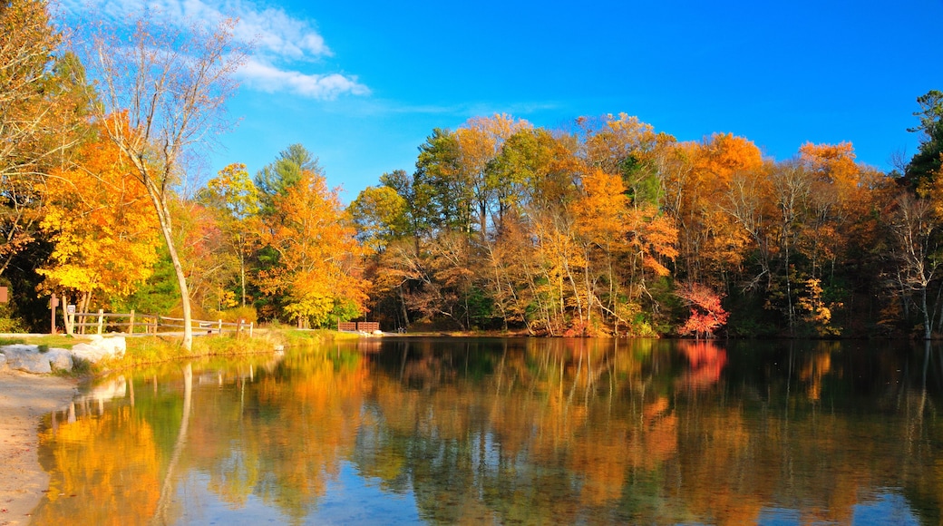 ميكانيكسبورغ