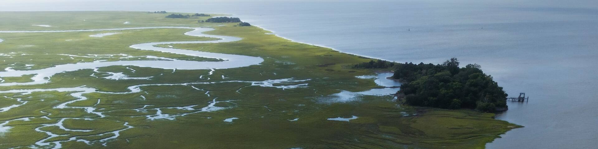 An aerial view of a coastal wetland with green vegetation and a small island with a pier.